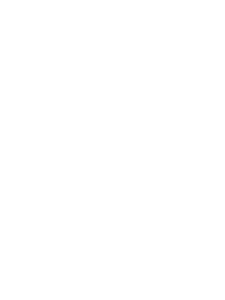 BUNDES Liga