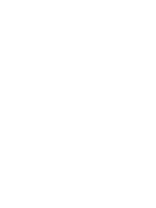 UEFA Europa League