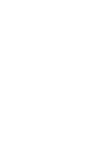 PremierLeague