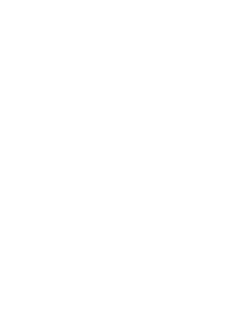 Ligue 1